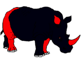 Dibuix Rinoceront pintat per edu