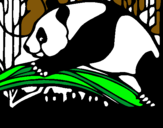 Dibuix Ós panda menjant pintat per ARNAU