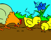 Dibuix Gallina i pollets pintat per Claudia