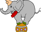 Dibuix Elefant sobre una pilota pintat per aleix