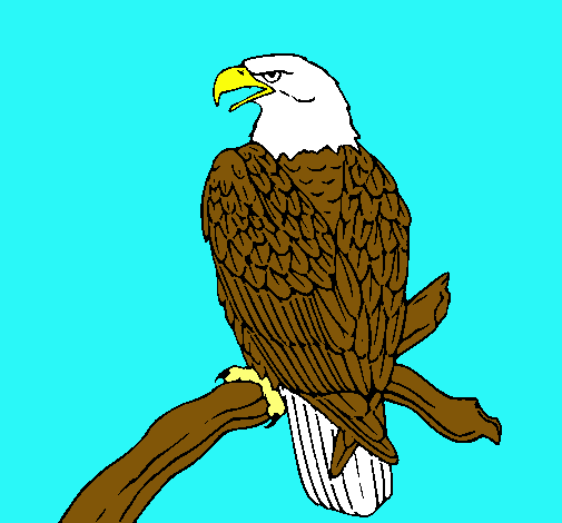 Dibuix Àguila en una branca  pintat per joan