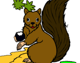 Dibuix Esquirol pintat per esquirol
