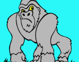 Dibuix Goril·la pintat per eudald