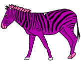 Dibuix Zebra pintat per clara