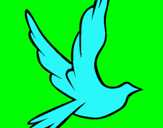 Dibuix Colom de la pau al vol  pintat per annacabreramateu