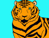 Dibuix Tigre pintat per laia pons mundo
