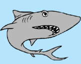 Dibuix Tiburón pintat per Mar