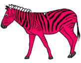 Dibuix Zebra pintat per biel