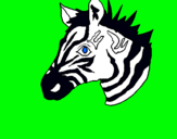 Dibuix Zebra II pintat per oriol