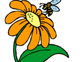 Dibuix Margarida amb abella pintat per frgftg