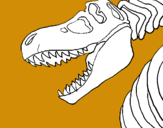 Dibuix Esquelet tiranosauri rex pintat per marti