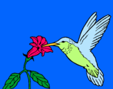 Dibuix Colibrí i una flor  pintat per Albeta