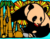 Dibuix Ós Panda i Bambú pintat per laia