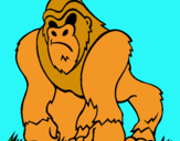 Dibuix Goril·la pintat per sony  chandnani