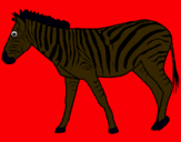 Dibuix Zebra pintat per  sony  chandnani