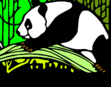 Dibuix Ós panda menjant pintat per Gisela