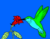 Dibuix Colibrí i una flor  pintat per iman