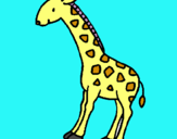 Dibuix Girafa pintat per joana