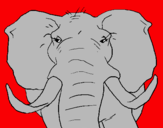 Dibuix Elefant africà pintat per kajol