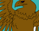 Dibuix Àguila Imperial Romana pintat per lolo
