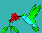 Dibuix Colibrí i una flor  pintat per ARNAU  C