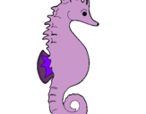 Dibuix Cavall de mar pintat per lilos