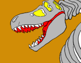 Dibuix Esquelet tiranosauri rex pintat per MARC (ALCANAR) P5