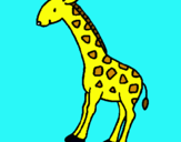 Dibuix Girafa pintat per cuix