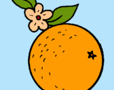 Dibuix taronja pintat per Isabel