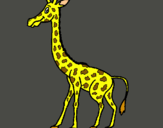 Dibuix Girafa pintat per Dunia