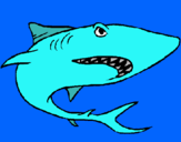 Dibuix Tiburón pintat per jose i miguel
