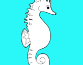 Dibuix Cavall de mar pintat per max 2