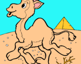 Dibuix Camell pintat per jaume