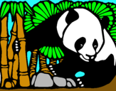 Dibuix Ós Panda i Bambú pintat per janna abril