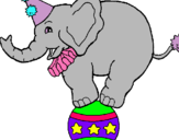 Dibuix Elefant sobre una pilota pintat per claudia esteba perals