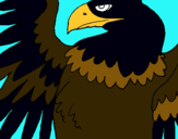 Dibuix Àguila Imperial Romana pintat per ANNA CM