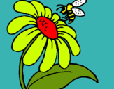 Dibuix Margarida amb abella pintat per chaster55
