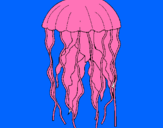 Dibuix Medusa pintat per jose i miguel