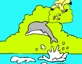 Dibuix Dofí i gavina pintat per pere