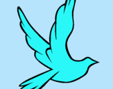 Dibuix Colom de la pau al vol  pintat per CM ANNA