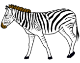 Dibuix Zebra pintat per leidy carolina manjarres 
