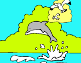Dibuix Dofí i gavina pintat per pere