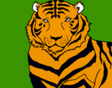 Dibuix Tigre pintat per andrea
