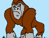 Dibuix Goril·la pintat per Ulises