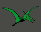 Dibuix Pterodàctil pintat per Tomas