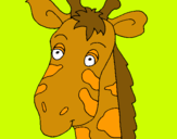 Dibuix Cara de girafa pintat per ARIADNA