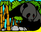 Dibuix Ós Panda i Bambú pintat per eudald
