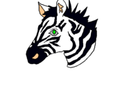 Dibuix Zebra II pintat per gemma