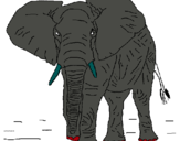 Dibuix Elefant pintat per ester