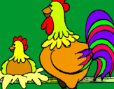 Dibuix Gall i gallina pintat per gall i gallina